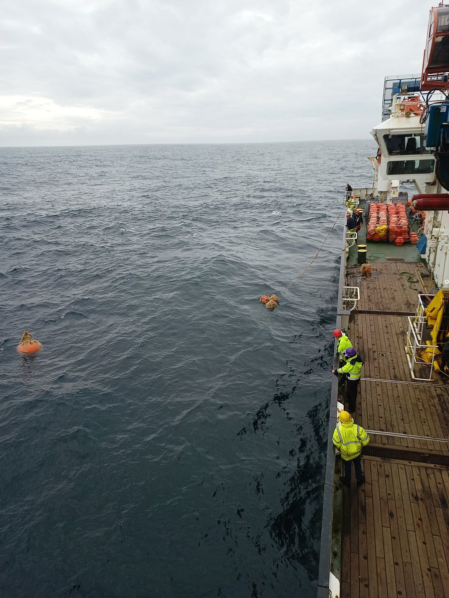 Dr Matt Clark tweet media