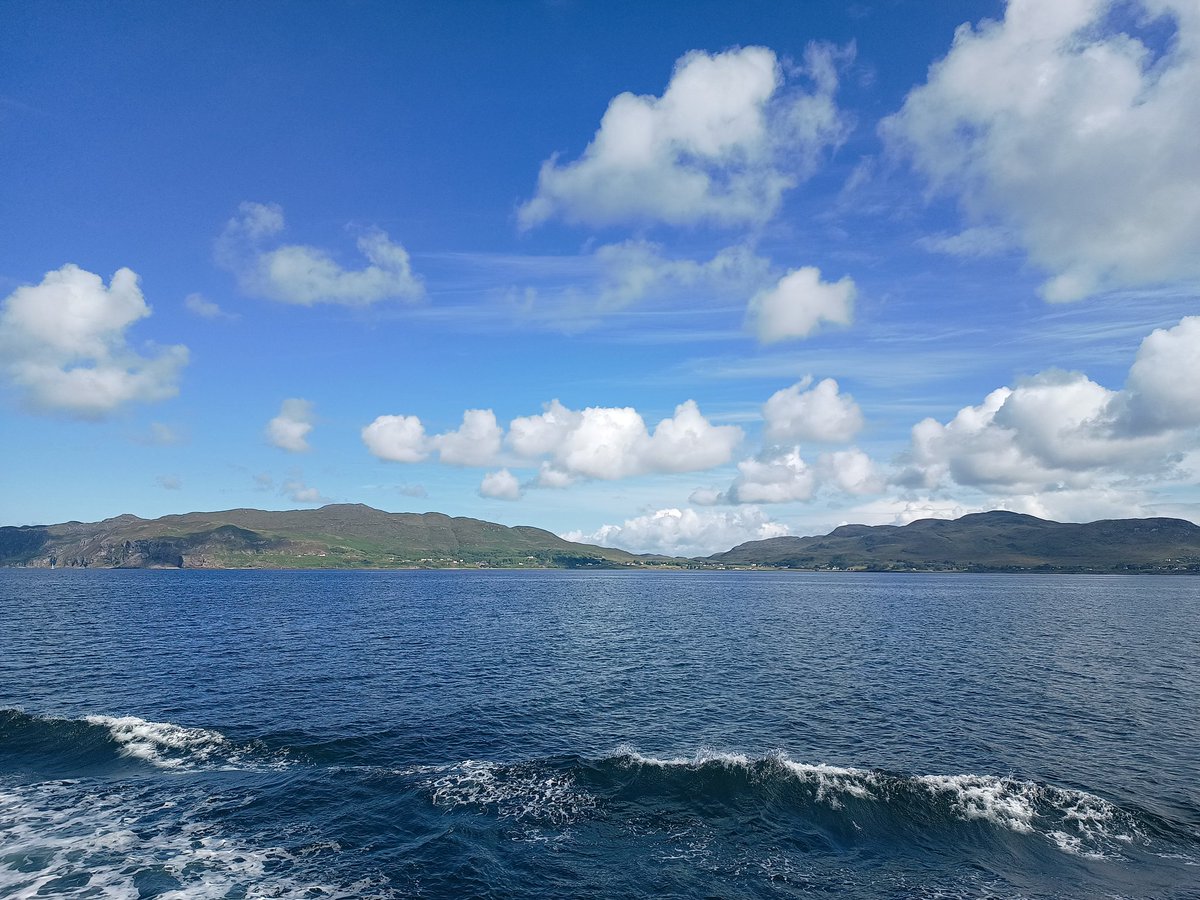 Dr Matt Clark tweet media