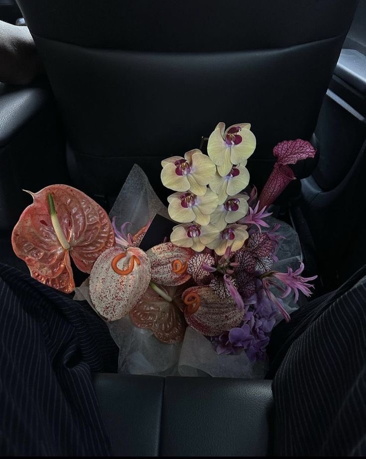 BERLAlN's tweet image. Orchids, anthuriums, sarracenia and more of nature&apos;s beauty. 🪻