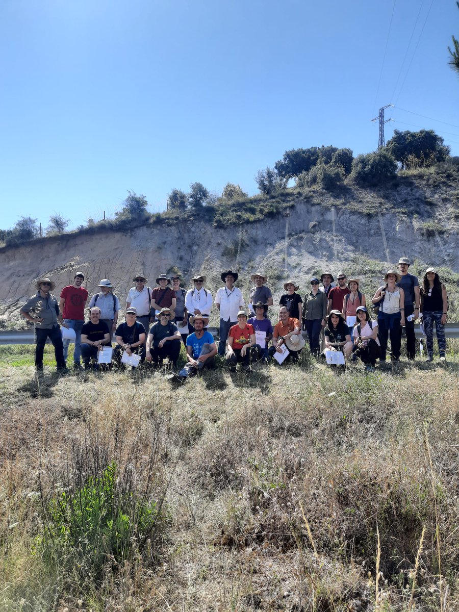 Antonio Olaiz tweet media