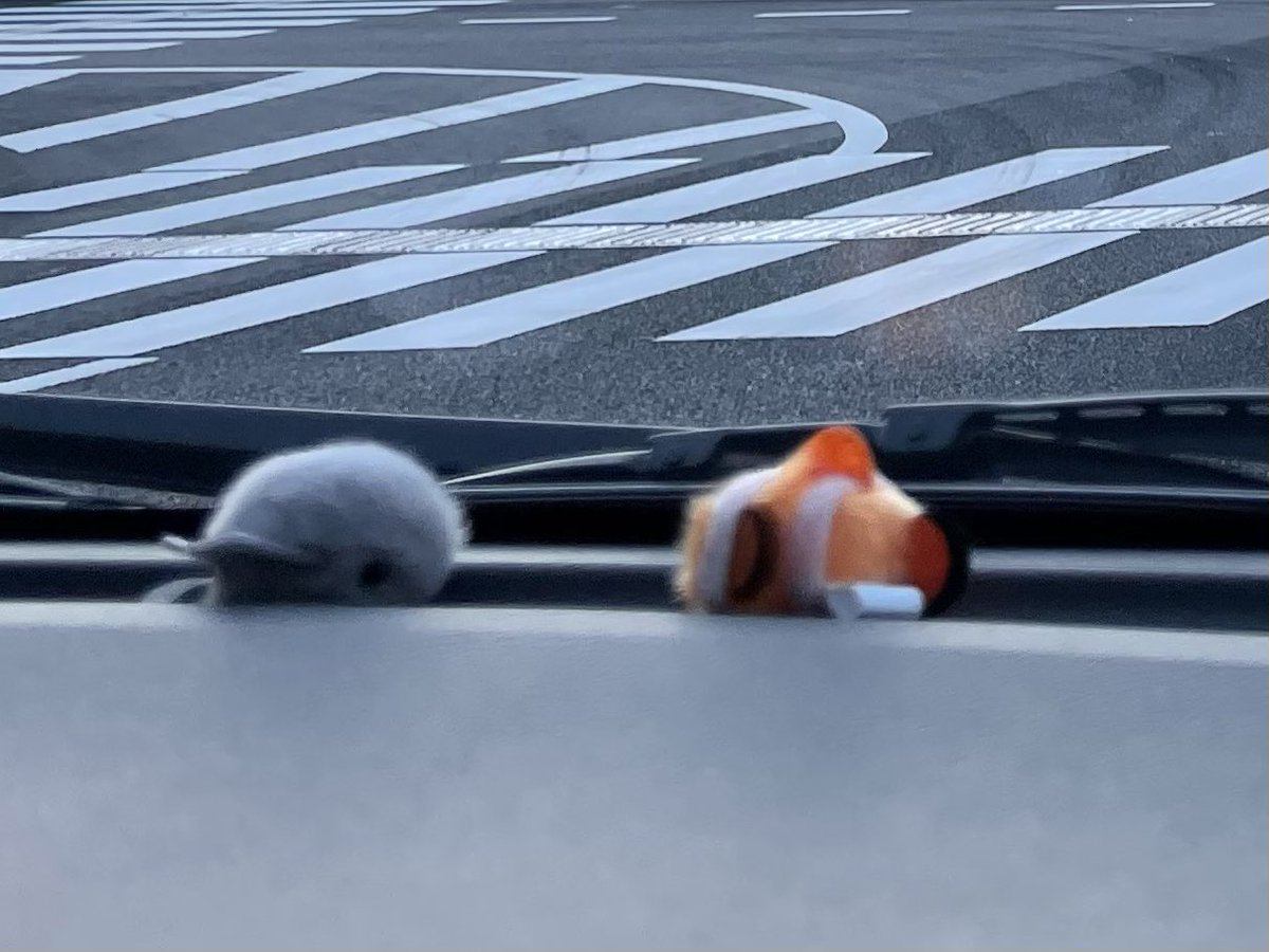 𝗌𝖺𝗆𝗂 tweet media