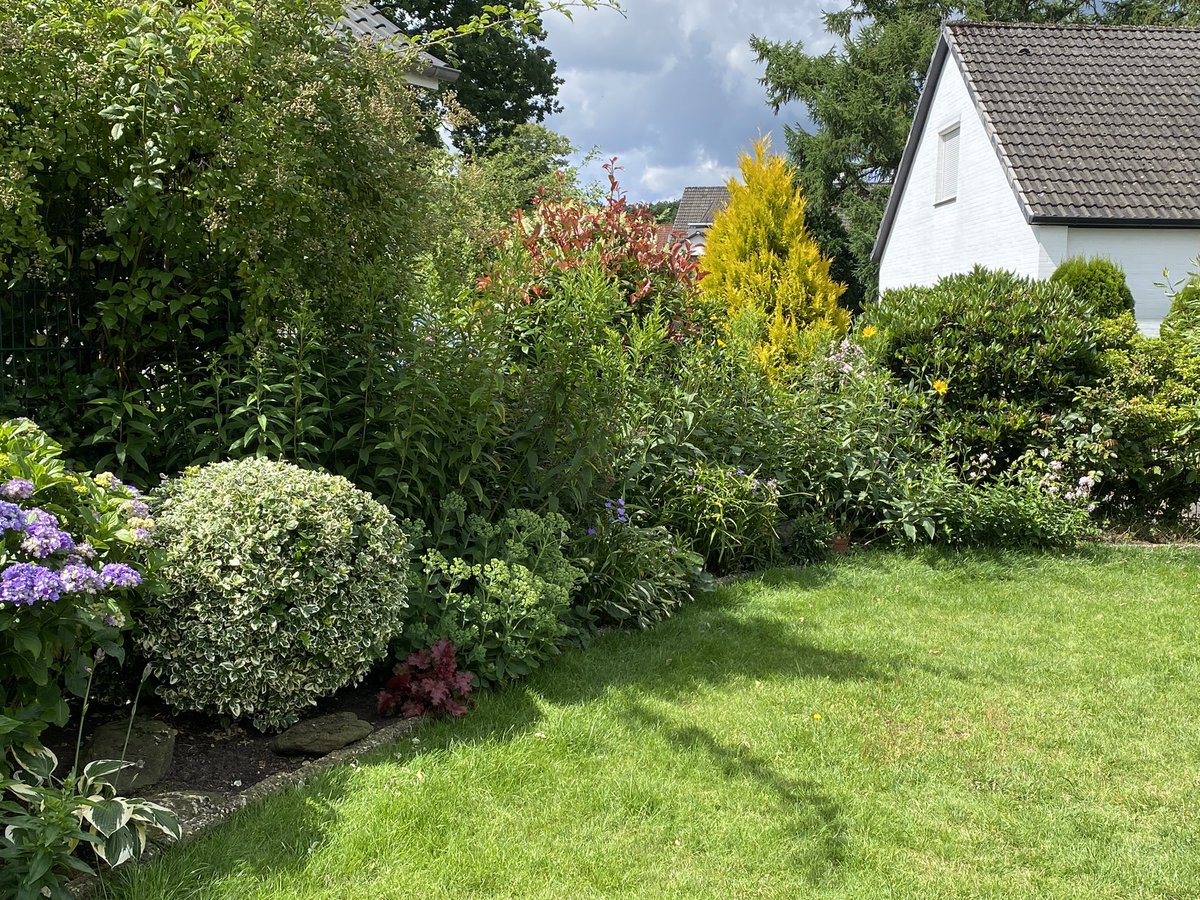 Skippi bei der Gartenarbeit 

Das 1. Bild zeigt, wie ich die Chefin bei der Gartenarbeit überwache 👀

Bild 2-4 das Ergebnis 🏡

Ich bin sehr zufrieden 😌

🐩👩‍🌾🏡🎉

#TwitterRudel #SkippiBarkow #SchnauzerGang #Schnauzer #DogsOfTwitter #Dogs 🐕 #Garten