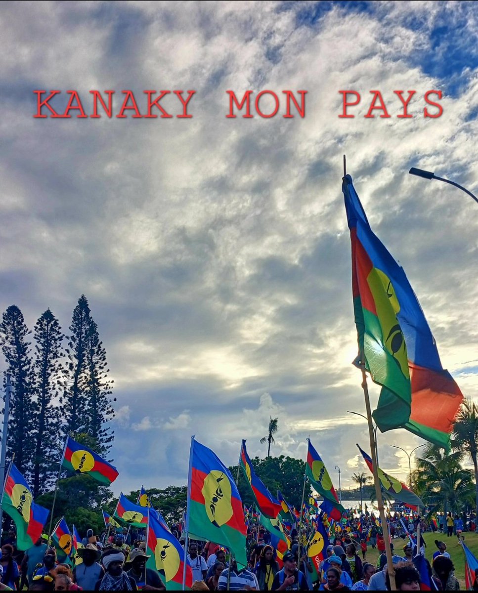 FK 🇳🇨 tweet media