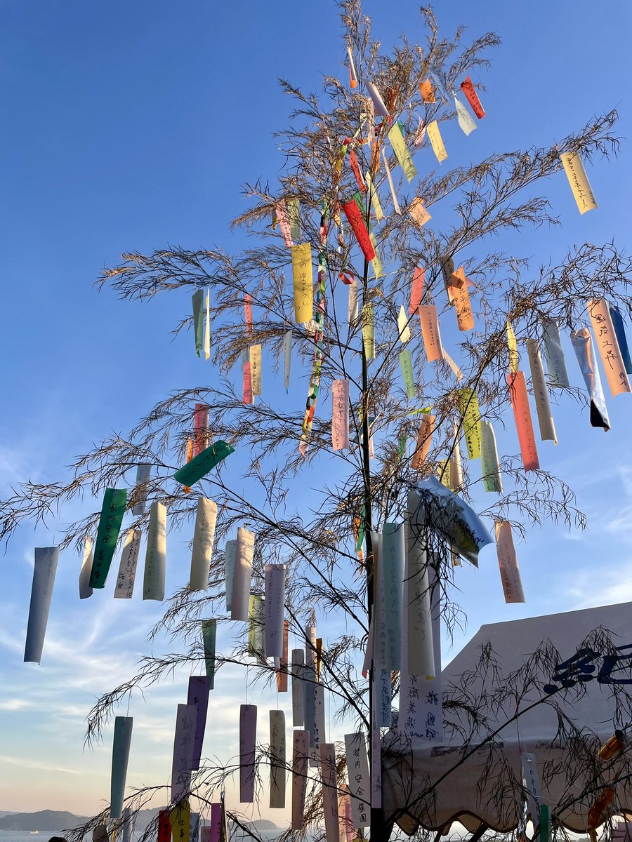 七夕！ 願いが叶いますように✨