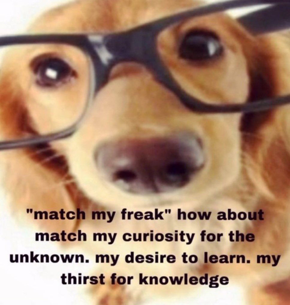 regulareguy's tweet photo. not tryna match yo freak can u teach me a life skill tho https://t.co/Eh0cICGtoU