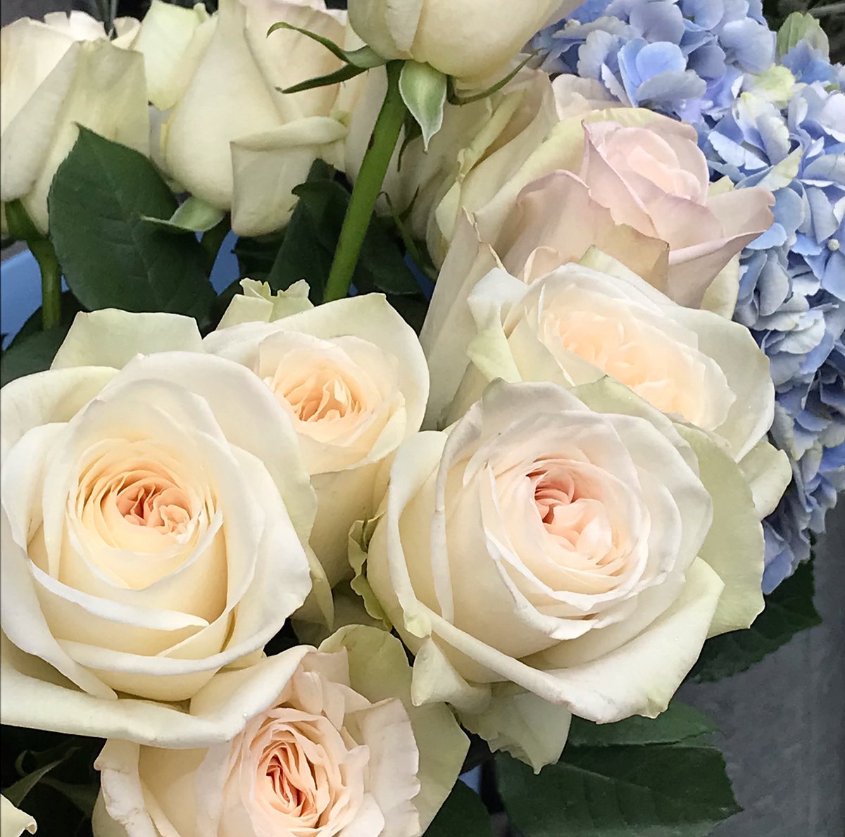 Celebrating liberty in Liberty…  one of London’s most beautiful buildings…