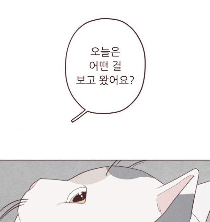 ket1130's tweet photo. 진짜ㅡㅡ 김금선 개미친ㅞㄱ 진짜 이거뒤에
같이보자는 거까지 진짜 뒷목 잡고 넘어감
아니 걍 고양이 기억 읽는 거 하나로 웨 영화를 찍으시냐고요ㅡㅡ https://t.co/45l5nyQWIE