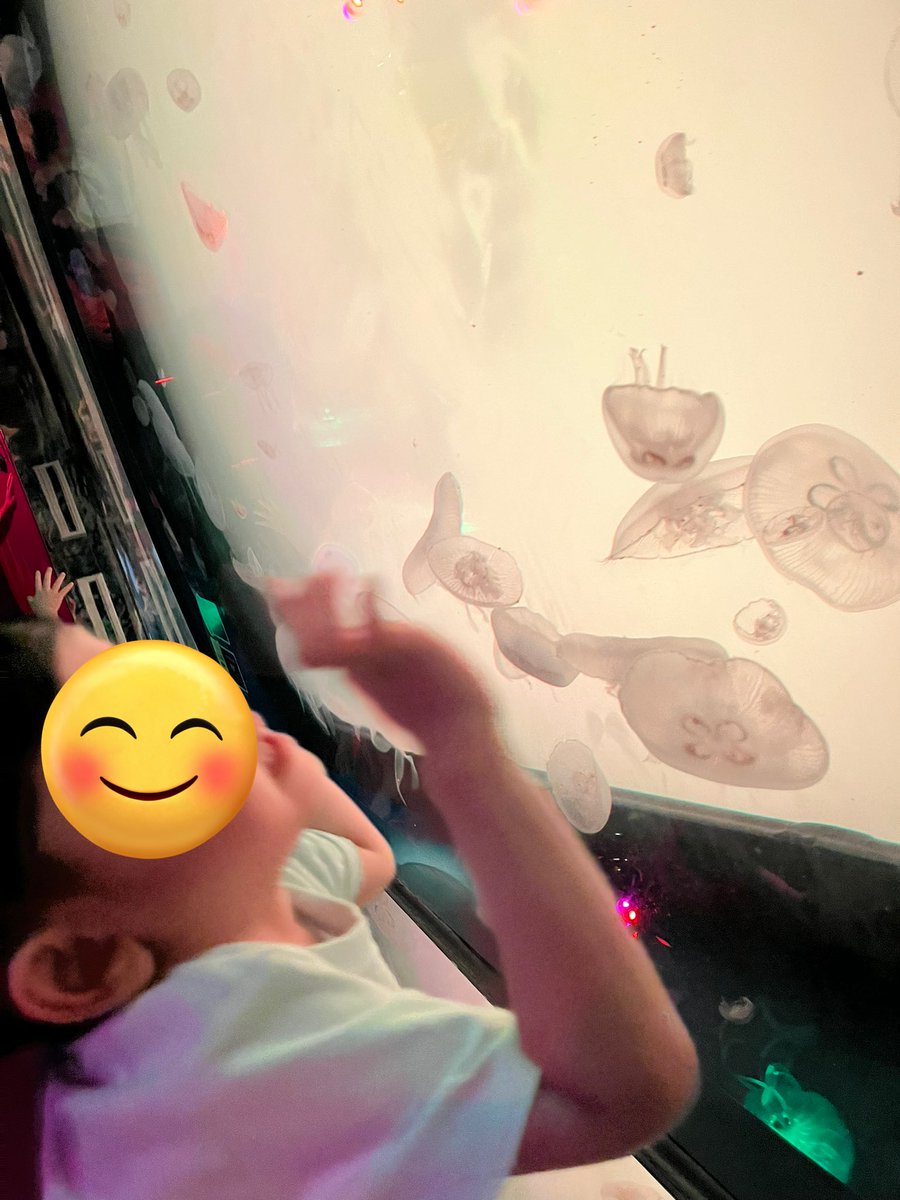SPARK_miki's tweet photo. くらげ好き🪼 https://t.co/3cS3zA7kQl