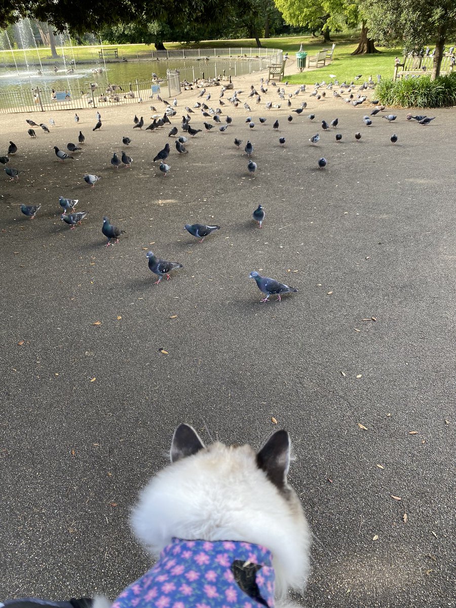 She could have it all