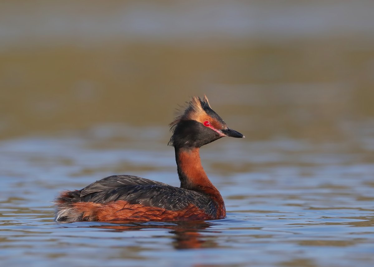 Michael Southcott tweet media