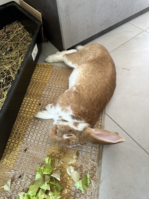 Watch Ruby's leaked NSFW photo on TwXstars