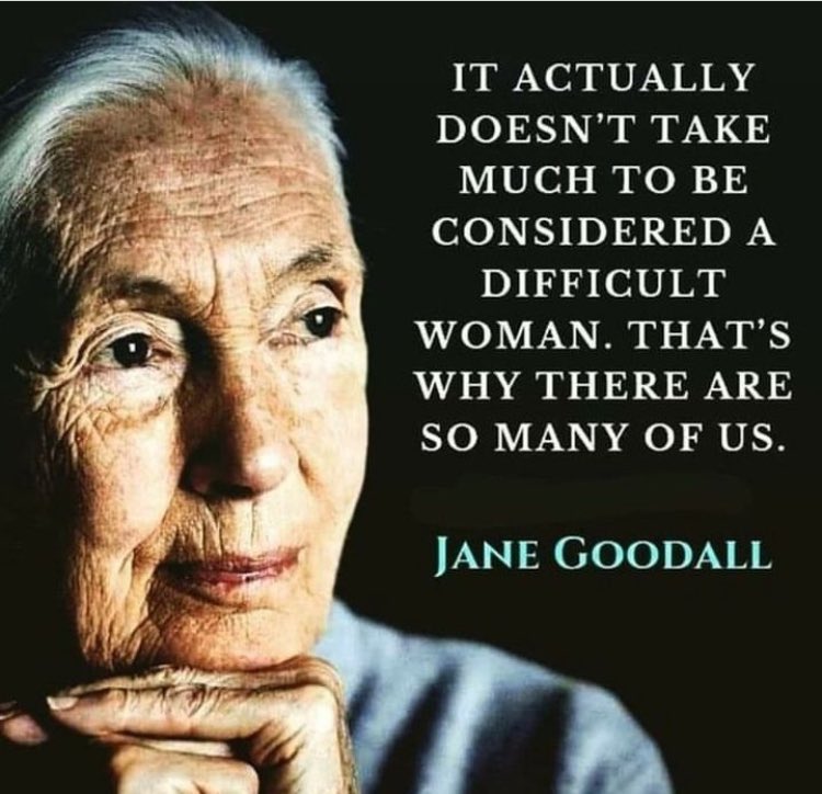 Mrs O 🙋‍♀️ FCCT (@kateowbridge) on Twitter photo 
