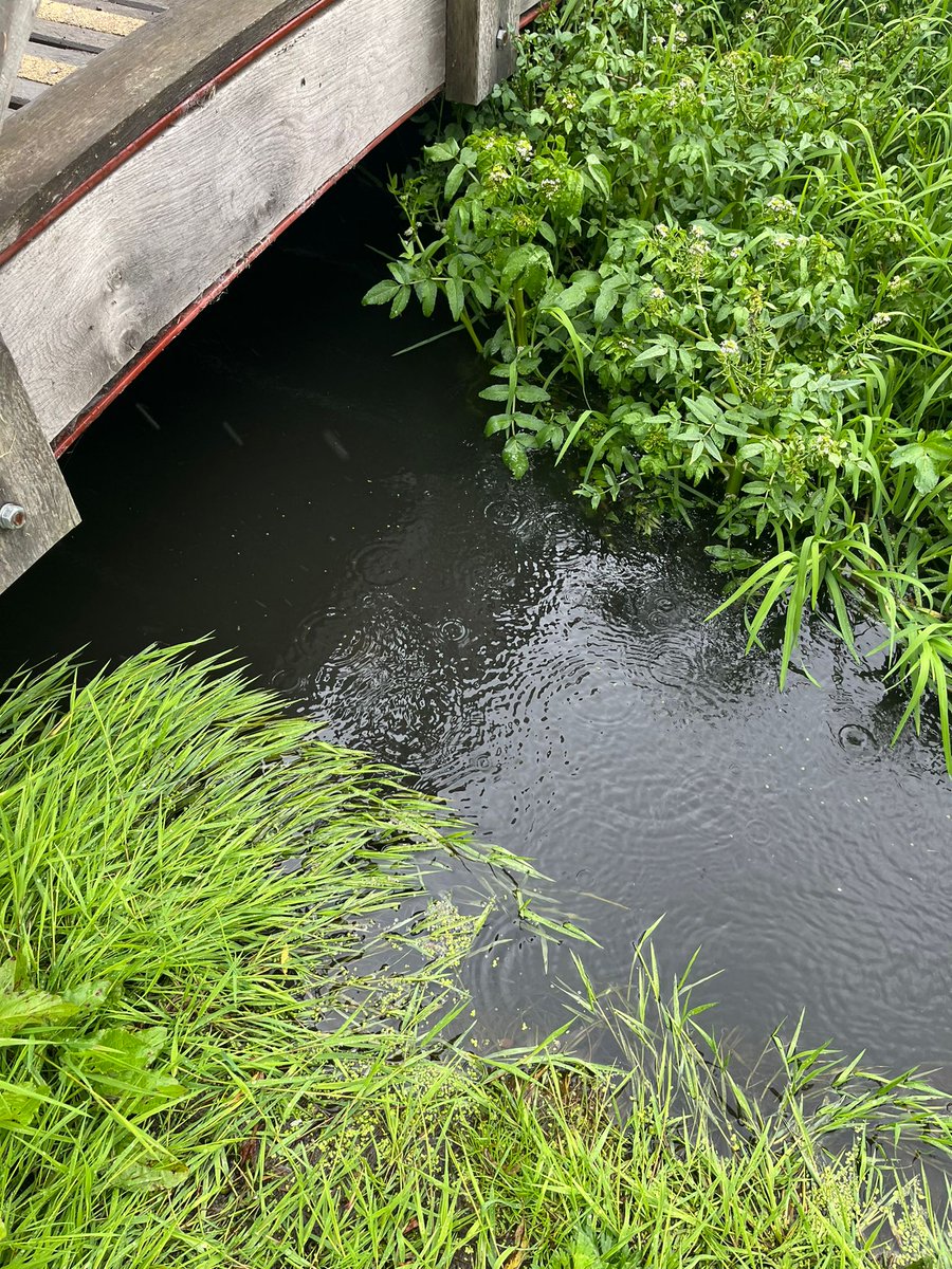 mpcsg's tweet photo. So, it's raining again, and @Thameswater are pumping (or overflow) sewage into the #RiverMisbourne again. Horrendous smells in @StGilesVillage again, and the river running black. So much for last week's clean up. This needs a permanent solution asap Ref #00700710 @SarahGreenLD https://t.co/OxqGYD8aDZ