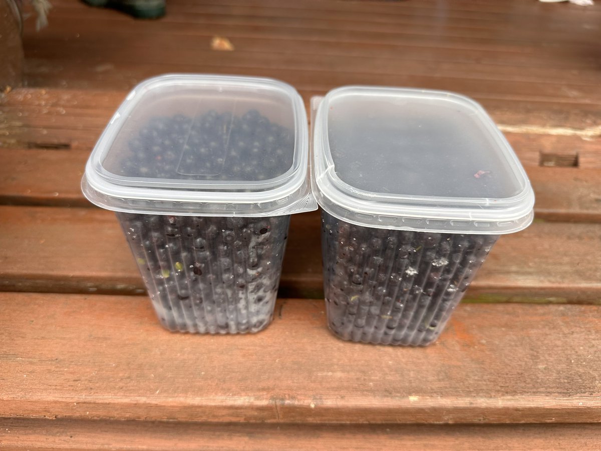 Inflation on blueberry prices 0%. So ECB mark this a sign for inflation cooling when you have your next meeting.