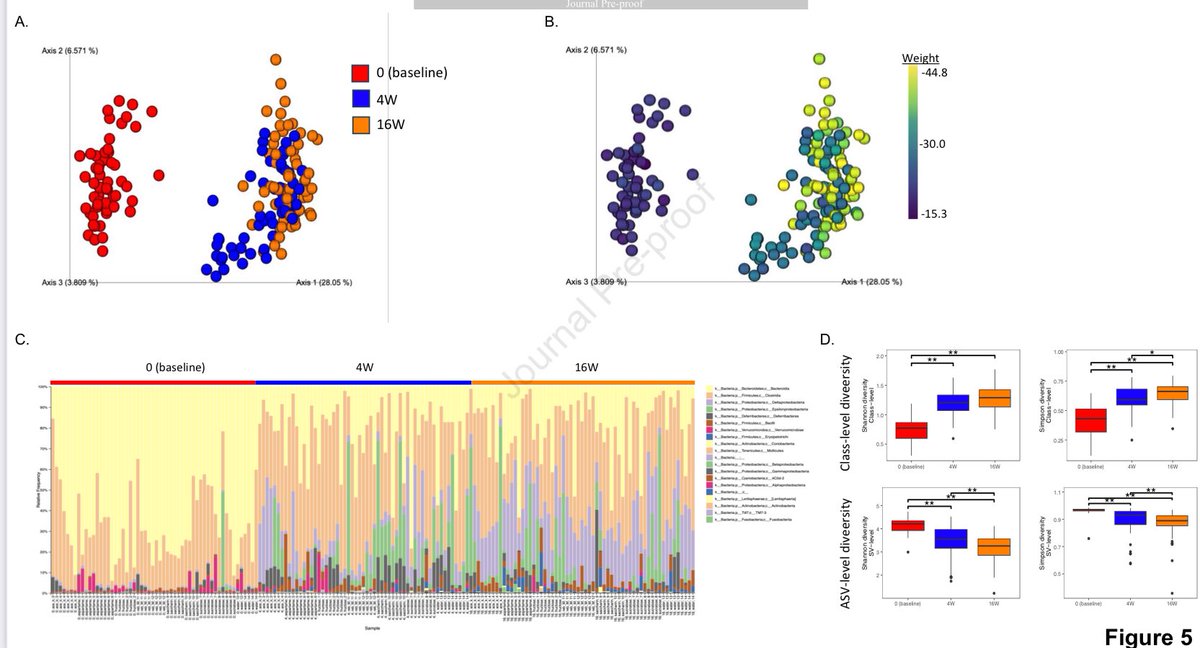 DanielJDrucker's tweet photo. Non-nutritive sweeteners @MolMetab No evidence for deleterious metabolic effects in mice following prolonged exposure https://t.co/6GuAn2ovGu #diabetes #obesity https://t.co/c9O354mO0W