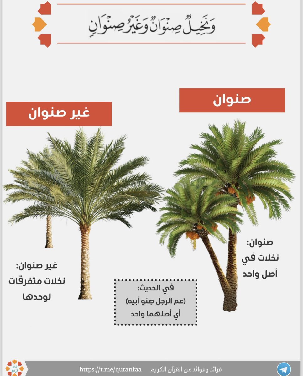 al_fusha's tweet photo. https://t.co/uoFMoHZZba