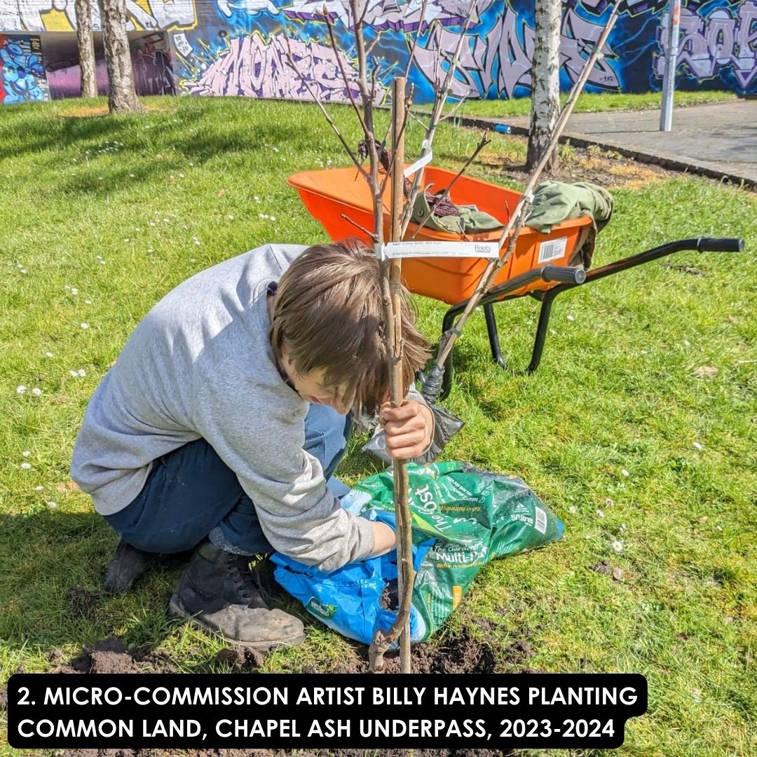 Asylum Art Gallery tweet media