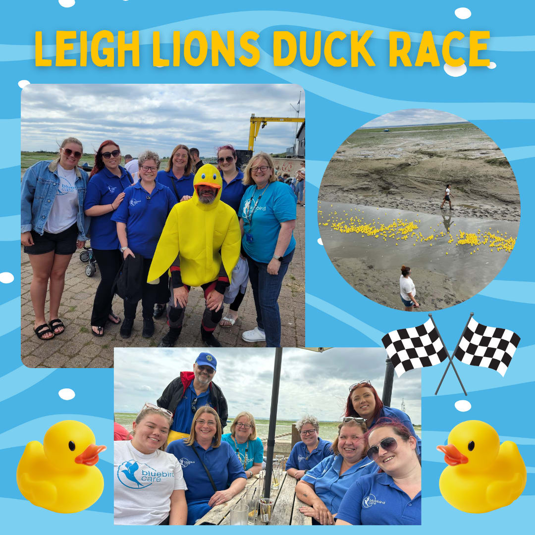 BluebirdcareSE's tweet photo. Last Sunday we attended the Annual Leigh Lions Duck Race down at Leigh Creek! 

We had a quacking time! 🦆🦆🦆 https://t.co/nQx7Zjj2G6