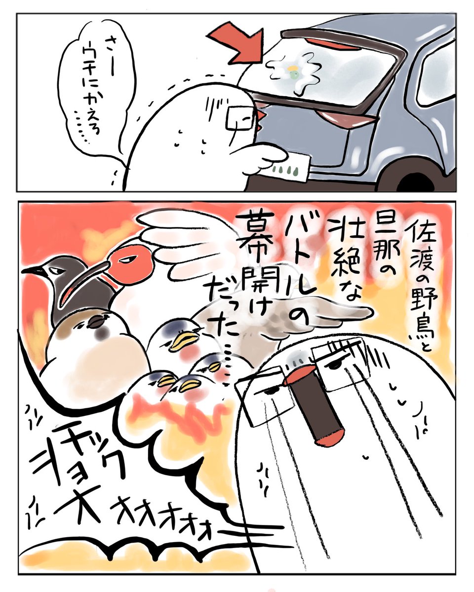 不定期佐渡日記⑤
(都合により人間をぶんちょの姿で描いております🐦) 