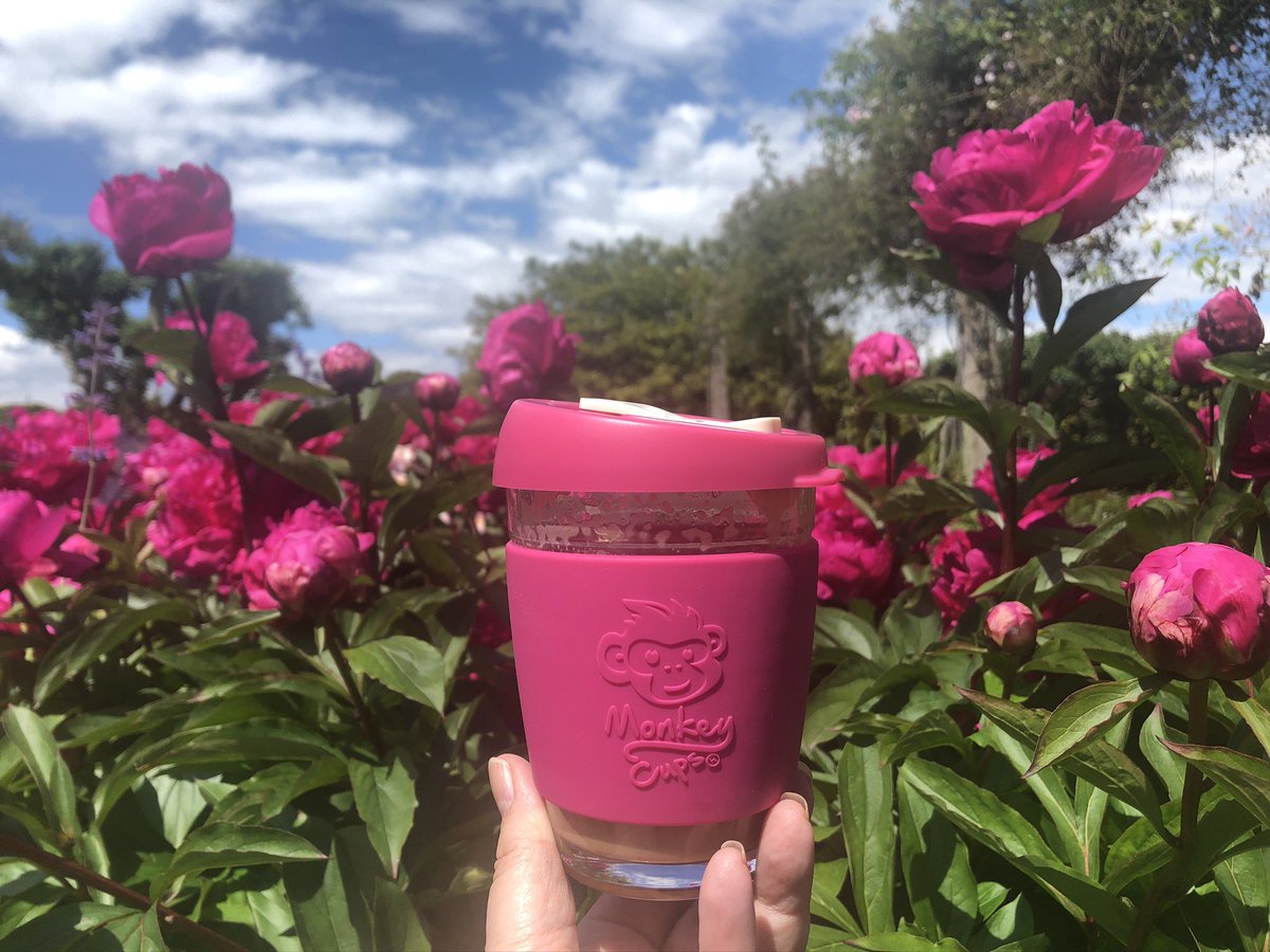 MonkeyCups1's tweet photo. Original Monkey Cups are designed to be lovely to drink from, lid on or off, beverage hot or cold, offering a premium drinking experience on the go. 
SHOP NOW https://t.co/3ox63aFSHz

#barista #coffee #irish
#createyourown #plasticfreejuly
#matchymatch 💕 @MountCongreve_ https://t.co/aynLWPWQdE