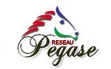 pegaseturf's tweet image. Challenge #GEANT4 @ricard_quentin
R1 - DEAUVILLE
107 cc 101
204 cc 202
307 cc 316
401 cc 410
501 cc 503
601 cc 609
701 cc 702
805 cc 803
904 cc 902