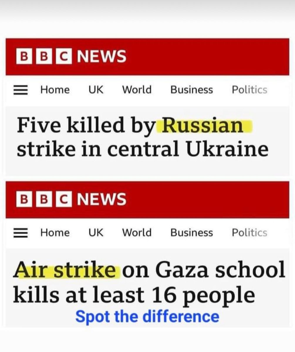  tweet media