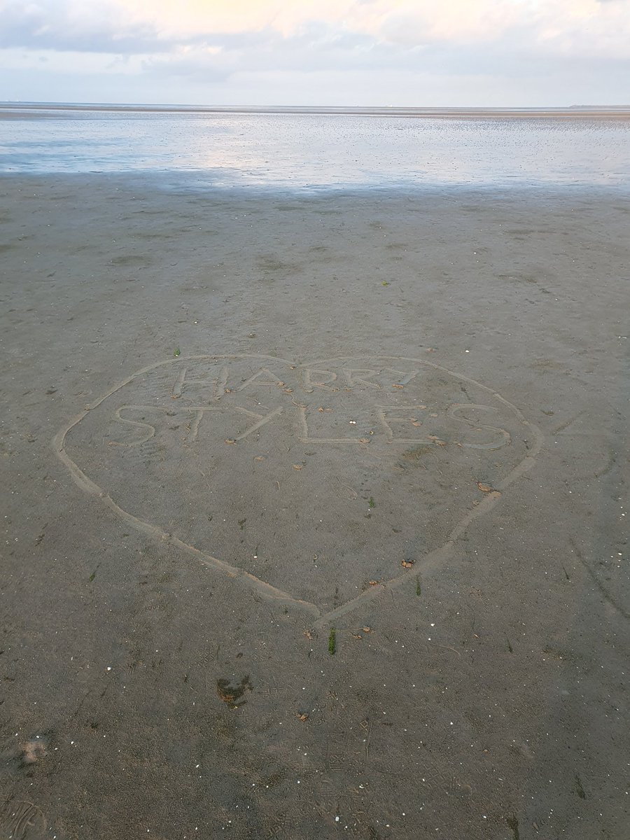 Come faccio a tornare in sella all'algoritmo? Provo con questa foto scattata qualche giorno fa
