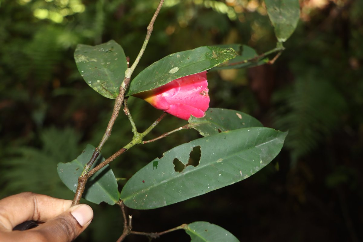 always fun to see something different ☺️