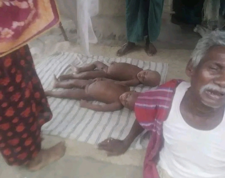 নওগাঁয় পুকুরে ডুবে প্রাণ গেল যমজ দুই ভাইয়ের