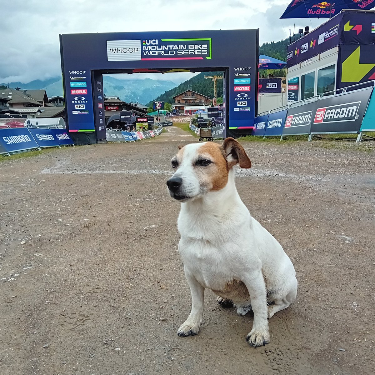 jjgallagher3's tweet photo. Hopped across from Italy for the UCI world champs, poor weather, but Sammie's had fun supporting @ois_ocallaghan #Double0 🤟 #takethepoints @UCI_MTB @CyclingIreland @AndyJehan @TheOnlyGuru @godofdogs @jerseycycling https://t.co/r8wkhmyiuC
