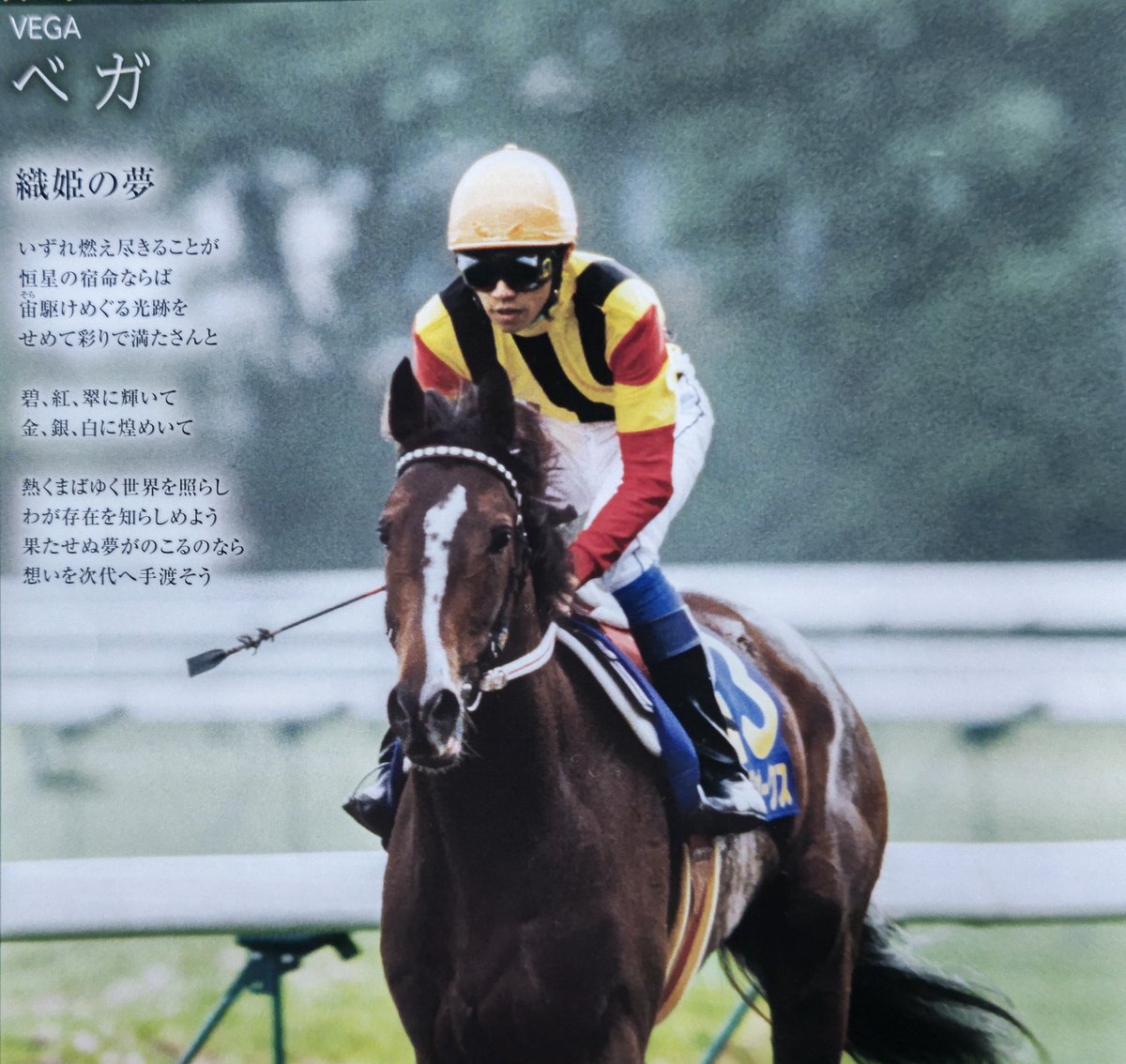 輝く一等星】ベガ。 桜花賞、オークスの牝馬二冠を達成したのは1993年