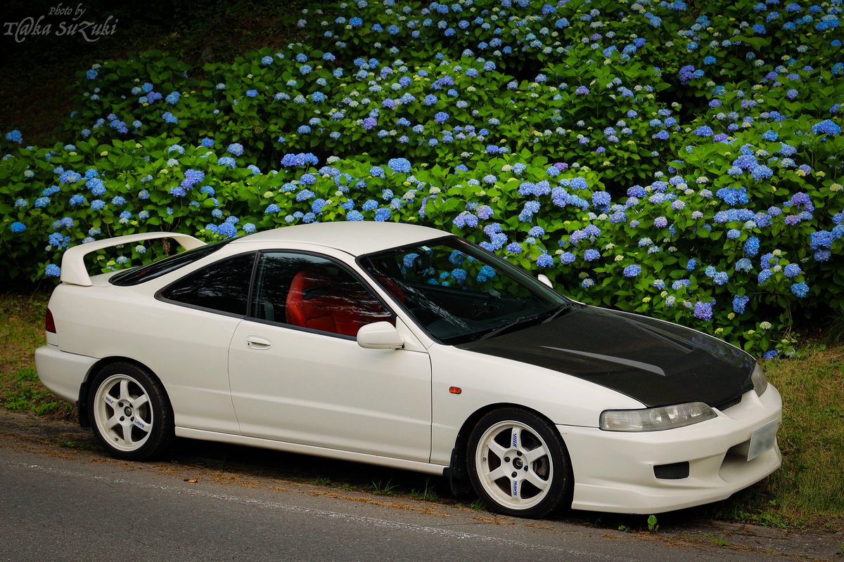 no07t_suzuki's tweet photo. 【今日のOneShot】
with Hydrangeas
DC2(約1ヶ月遅れで)12ヶ月点検でした。
28年目完了です♪
※2024.7.6撮
#honda #integra #ホンダ #インテグラ #dc2 #96spec #typeR #MUGEN #無限
#ThePowerOfDreams #PoweredbyHonda #MeandHonda
#あじさい #紫陽花 #hydrangea
#flowers #はなまっぷ https://t.co/jCx7wCK6vZ