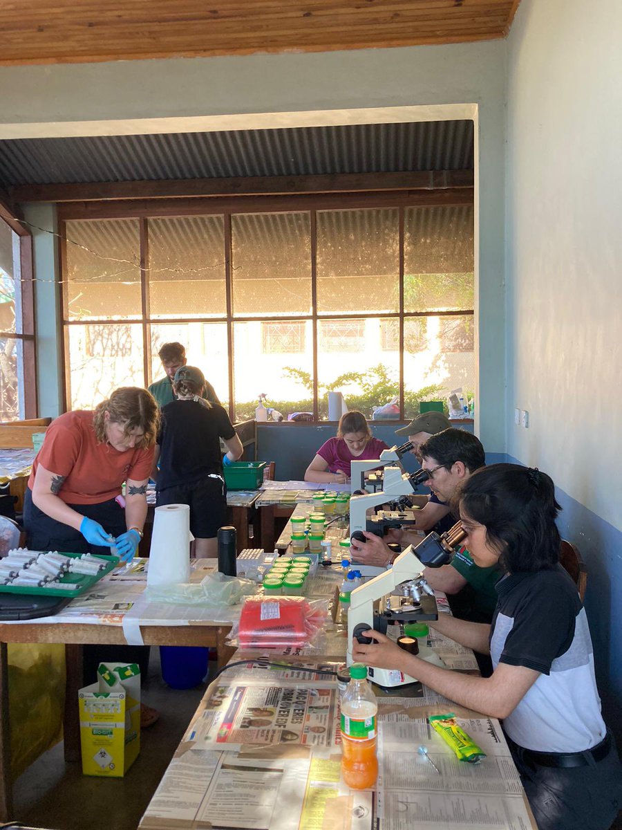 HUGS_LSTM's tweet image. We are grateful to LSTM MRes/MSc students and teaching staff who supported our HUGS final community cohort survey - a great on the job learning experience for all @DagnallLab