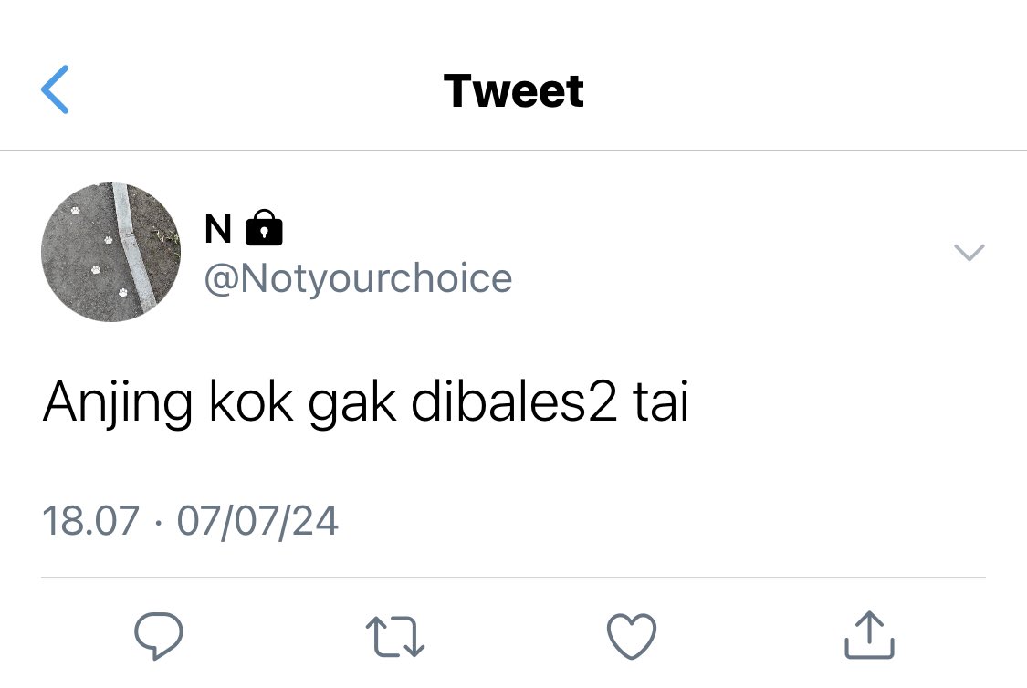 Lyn tweet media