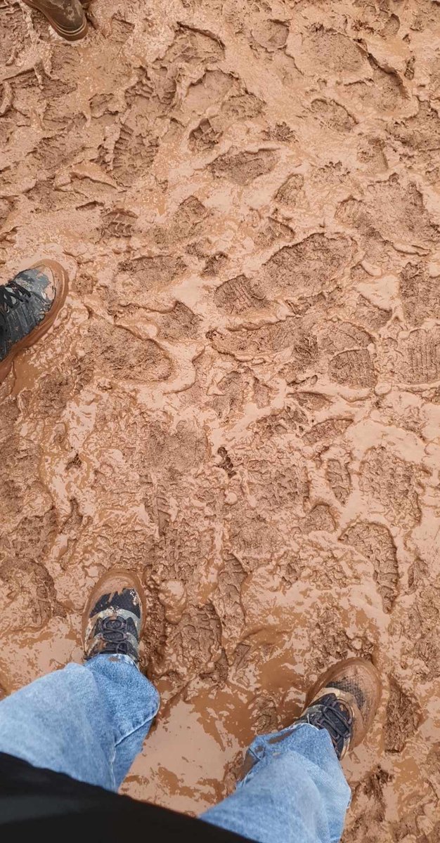 On est bien aux Eurock 😅