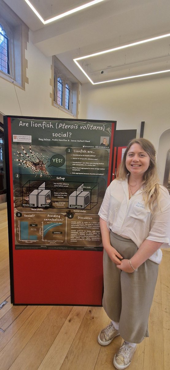 Roxy Holmes (@roxybholmes) on Twitter photo Had a lovely day at <a href="/CamZoology/">Dept of Zoology</a> Seminar Day on Friday. Tried my hand at a 1-minute flash talk to promote my poster on #lionfish sociability. Had a lovely day at <a href="/CamZoology/">Dept of Zoology</a> Seminar Day on Friday. Tried my hand at a 1-minute flash talk to promote my poster on #lionfish sociability.