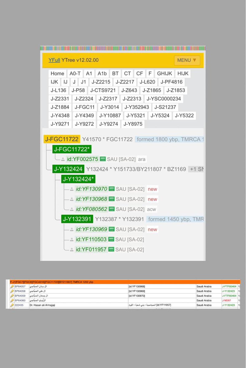 وهذه مشجرة قبيلة الحجاحجة (الحجاجي)

أحفاد الهون بن خزيمة بن مدركة بن إلياس بن مضر

وعينات الفاحصين مطورة big-y
نشكر ونثمن ما قدمه الشيخ مصعب الشدقاني الحجاجي وربعه لخدمة العلم و قبائل الحجاز كافة بارك الله في ايمانكم وأفئدتكم 🚩⚔️