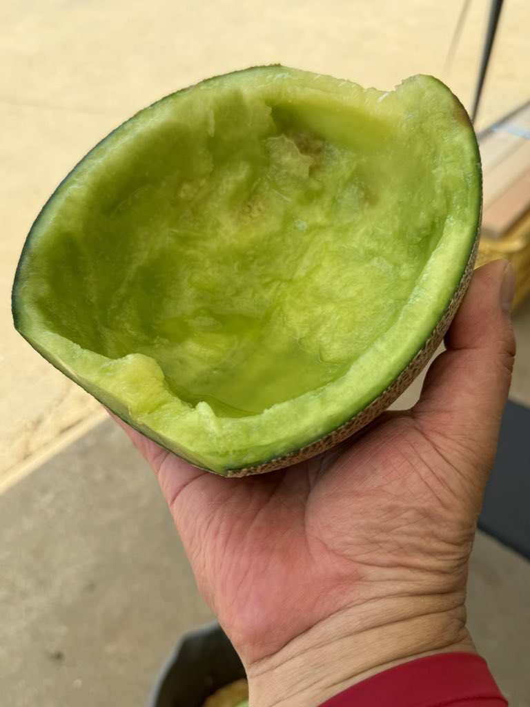 TakeKoba_SEROW's tweet image. #W乗り甘味部
こいつも甘味🍈🍈