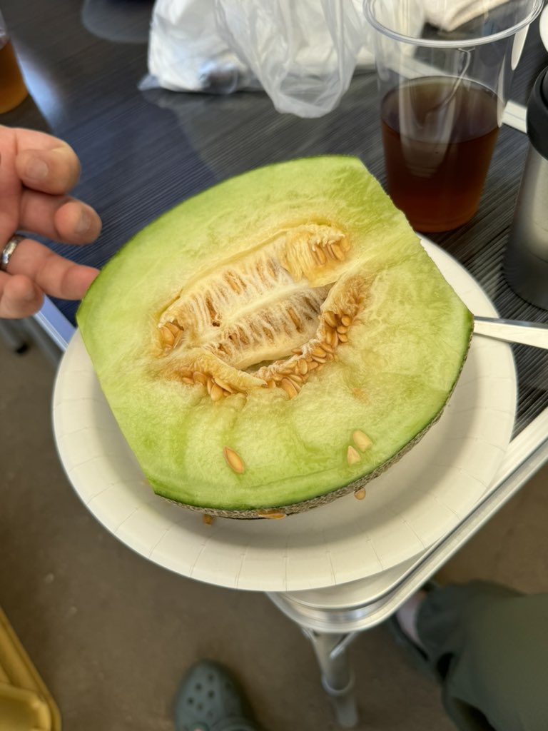 TakeKoba_SEROW's tweet image. #W乗り甘味部
こいつも甘味🍈🍈