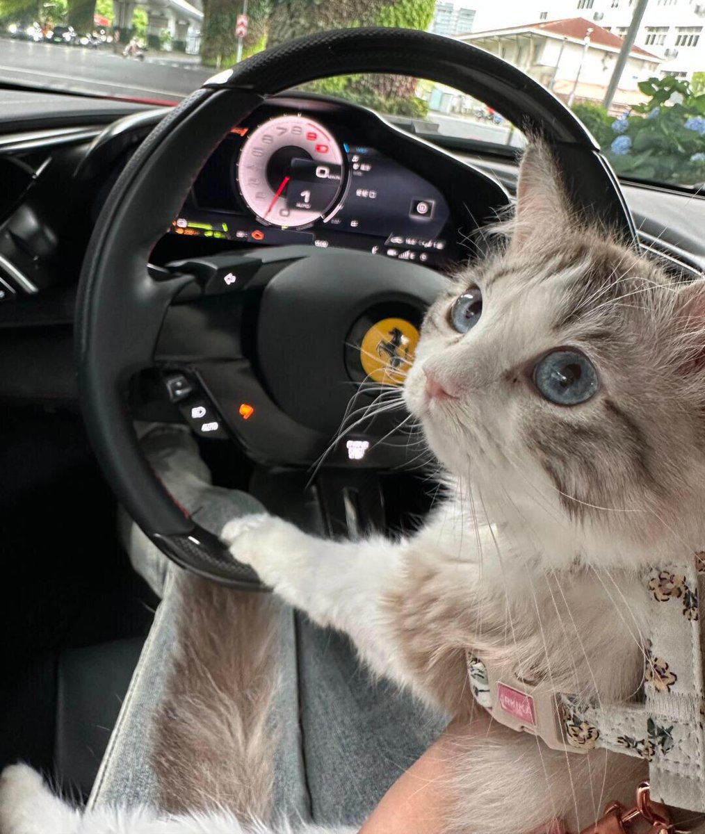 zero_ender1's tweet photo. Taking Katie for a spin today https://t.co/L3x7oS31RB