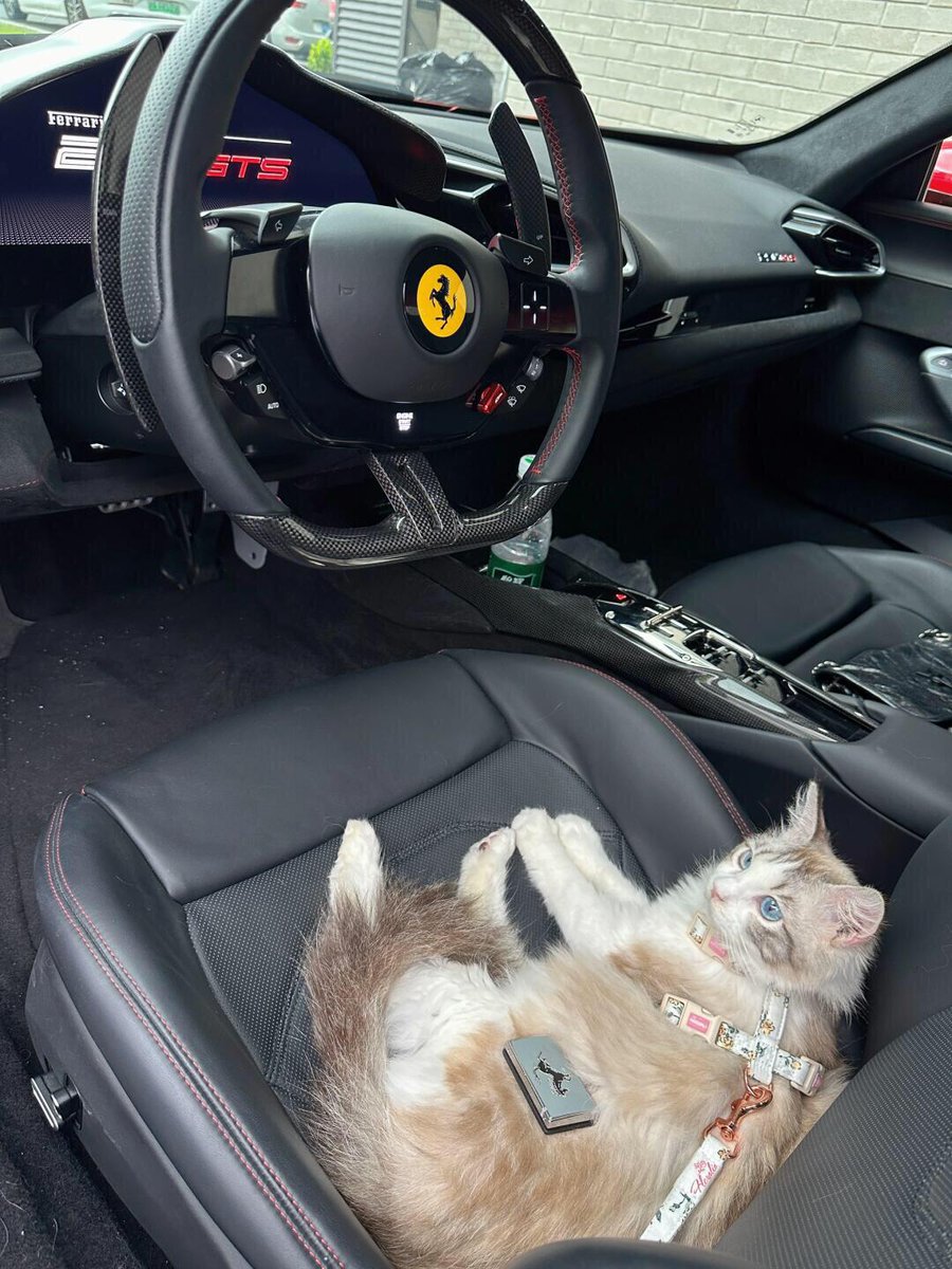 zero_ender1's tweet photo. Taking Katie for a spin today https://t.co/L3x7oS31RB