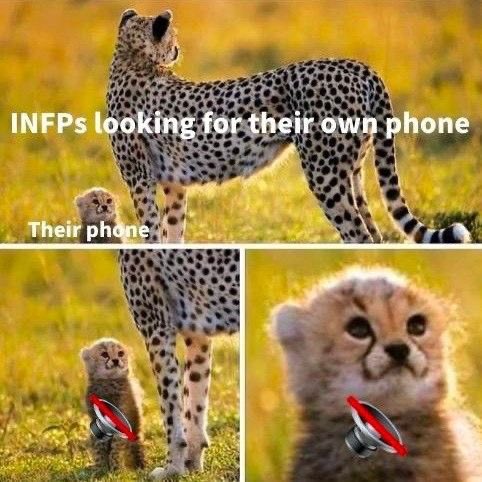 infprelatable's tweet image. lol this is so relatable #INFP