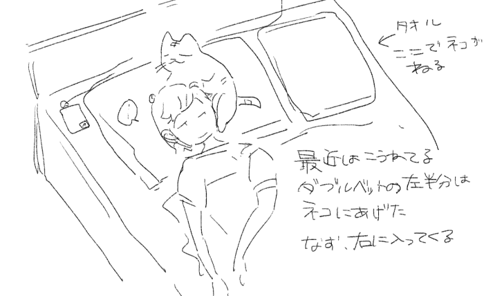猫と私 