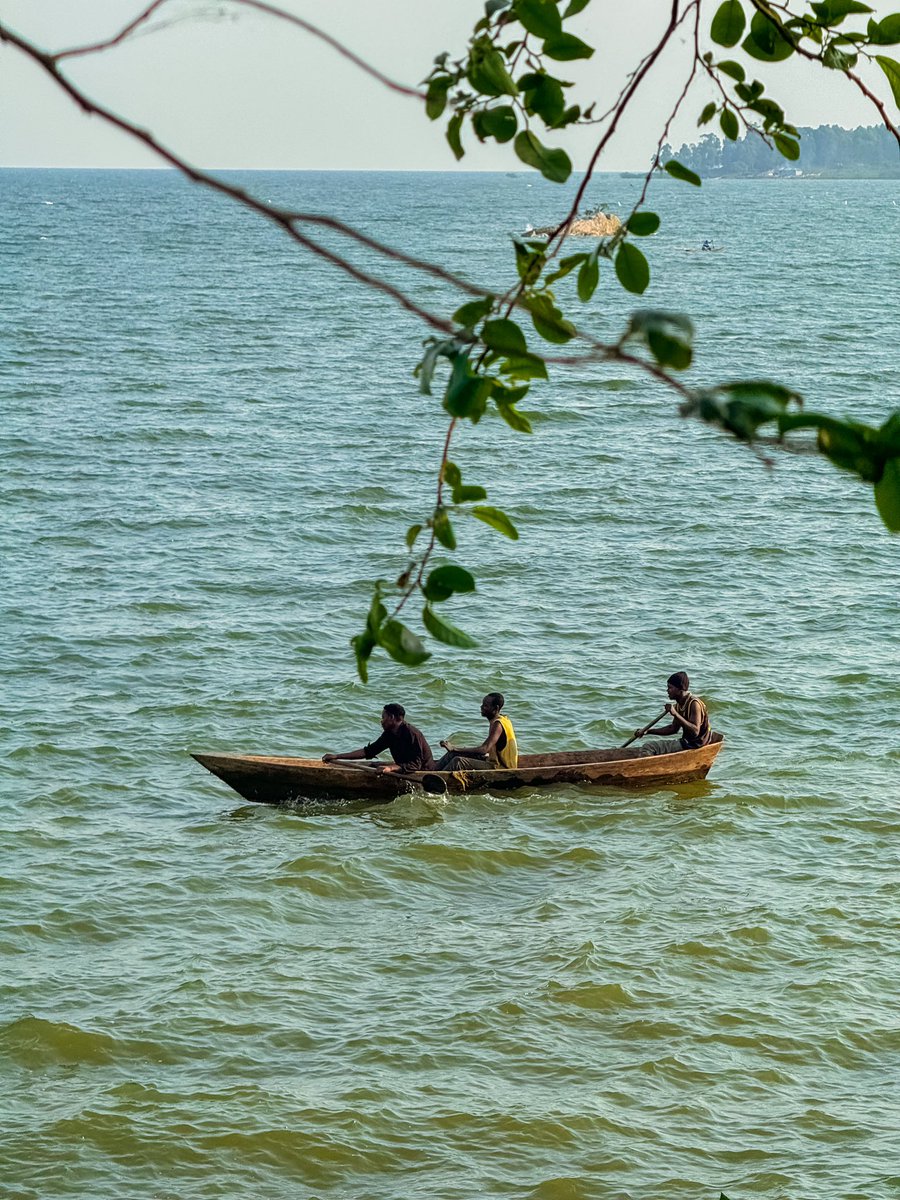 EbbForestLodge's tweet image. Be still to observe the life that thrives around you and assured you’ll find utmost serenity and awareness of the abundance in life within nature’s embrace right here. 
#onewithnature #entebbeforestlodge