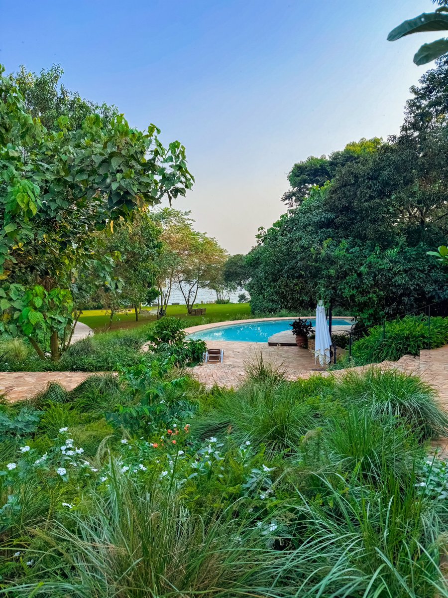 EbbForestLodge's tweet image. Be still to observe the life that thrives around you and assured you’ll find utmost serenity and awareness of the abundance in life within nature’s embrace right here. 
#onewithnature #entebbeforestlodge