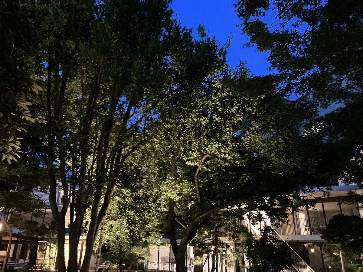 シャンタル・アケルマン映画祭】公式 (@akermanfilmsjp) / Posts / X