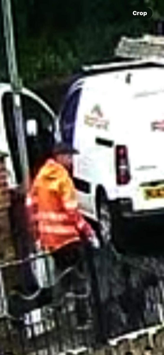 joannew0112's tweet photo. Please anyone in #Allerton #Bywater area check cctv and ring door bells , Jake was stolen between 11 and 11.40 am on 3rd July. The roofing company on the van is not involved the logo has been used fraudulently https://t.co/ZQ0xLqfsCd