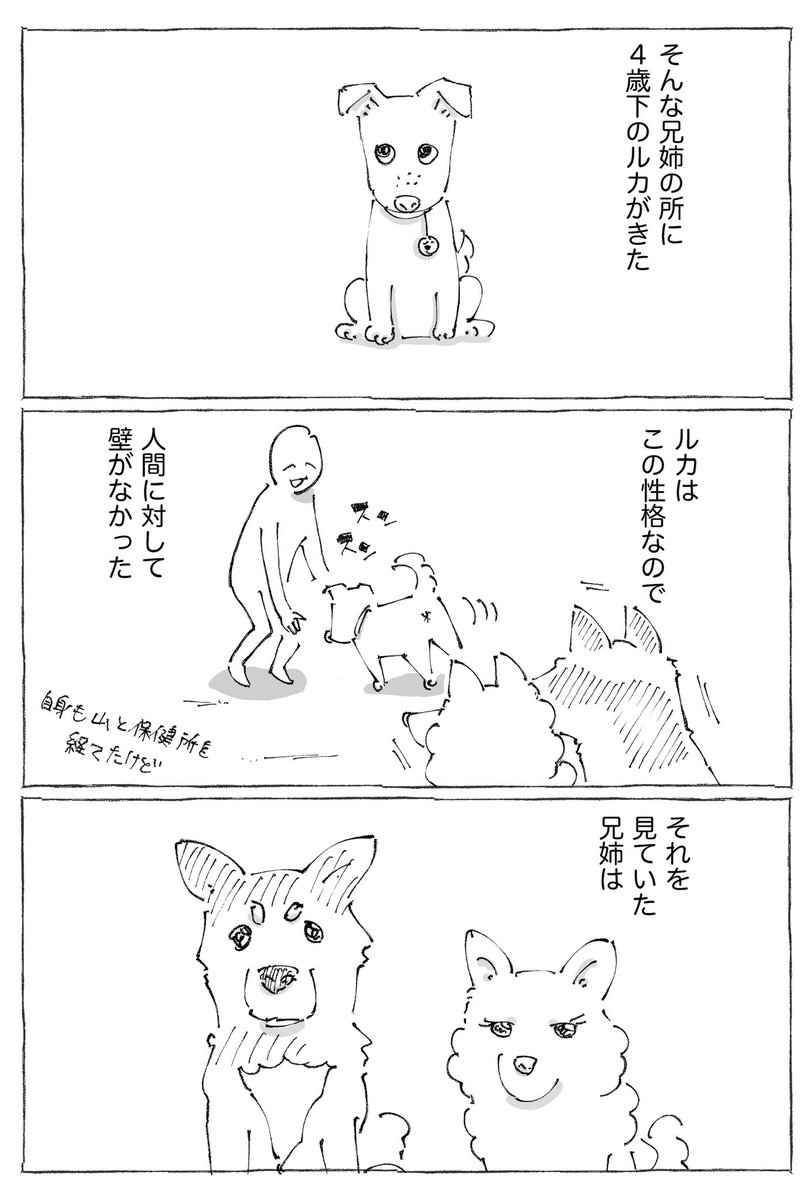 【5/5】 