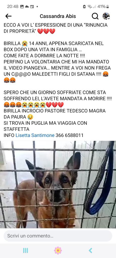 GabriellaBargh1's tweet photo. NN HO PAROLE MA BASTA QUELLO 
CHE SCRIVONO. LEGGETE X FAVORE 
E X QUESTA NONNINA DATE TANTI RPRPRP NN PUÒ FINIRE COSÌ LA SUA
VITA. GRAZIE
😭🍀😭🌿😭🍀😭🍀🙏🐾💔💔💔🐞 https://t.co/o7r9UuSmpF