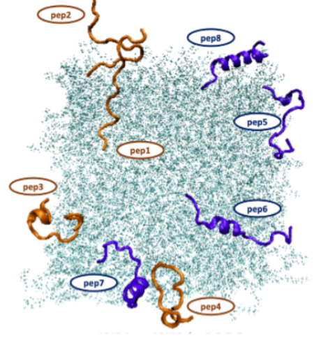Lorenz Lab (@lorenz_lab) on Twitter photo Our latest manuscript (collab. w/ <a href="/DrJamesMason/">James Mason</a>) is available at <a href="/biorxivpreprint/">bioRxiv</a>. <a href="/MirunaSerian/">Miruna Serian</a> combined MD simulations & ML to gain insight into the interplay between conformational flexibility & aggregation in synergistic antimicrobial peptides bit.ly/4cR51Ul Our latest manuscript (collab. w/ <a href="/DrJamesMason/">James Mason</a>) is available at <a href="/biorxivpreprint/">bioRxiv</a>. <a href="/MirunaSerian/">Miruna Serian</a> combined MD simulations & ML to gain insight into the interplay between conformational flexibility & aggregation in synergistic antimicrobial peptides bit.ly/4cR51Ul